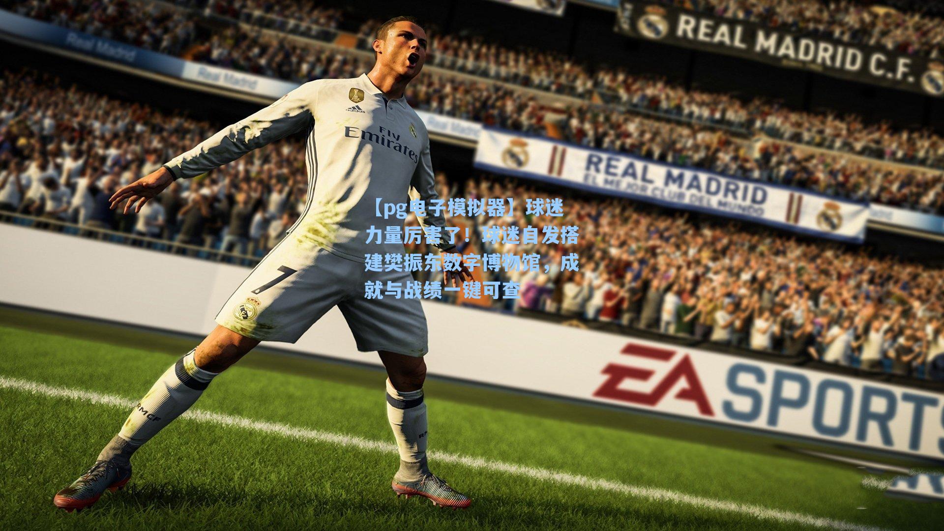 【pg电子模拟器】球迷力量厉害了！球迷自发搭建樊振东数字博物馆，成就与战绩一键可查-第1张图片-pg模拟器-pg电子模拟器-pg试玩游戏官网